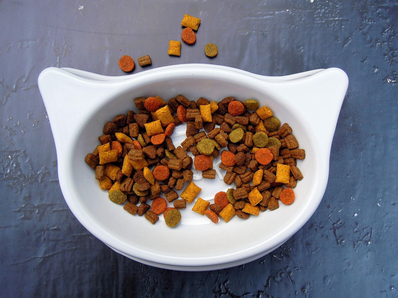 pet food1.jpg