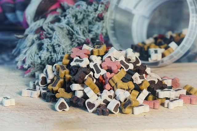 pet food3.jpg
